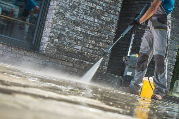 Best Fleet Vehicle Washing  in Cannelton, IN