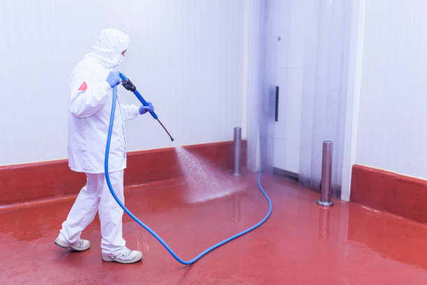 Best Pre-Holiday Cleaning  in Cannelton, IN