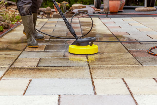 Best Driveway Pressure Washing  in Cannelton, IN